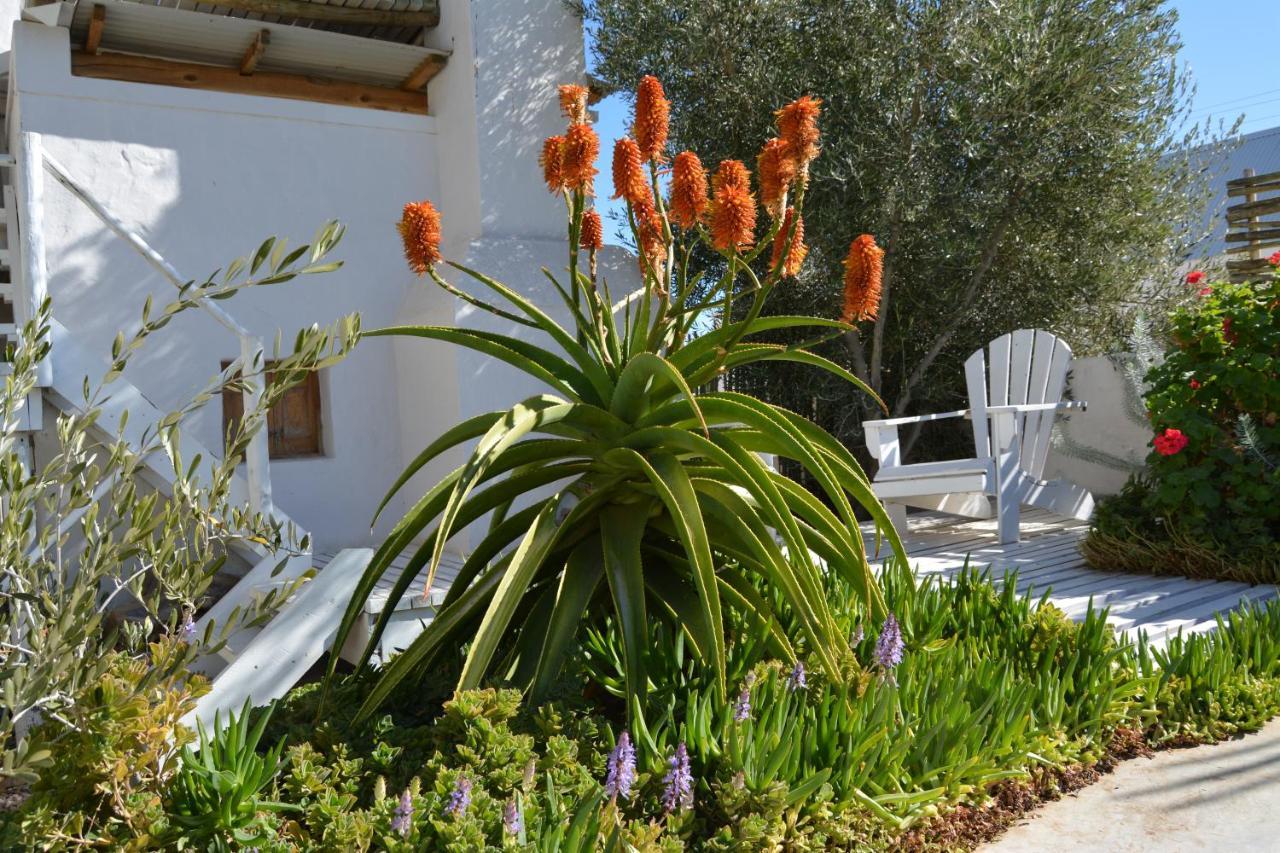 Ta Mala'S Cottage Prince Albert Εξωτερικό φωτογραφία